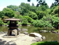 Old koga Garden